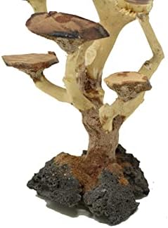 בונסאי עצי סחף אקווריום עץ אום אקראי פיק טבעי, בעבודת יד דגי טנק קישוט | קל להתקין